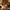 Promotion banner