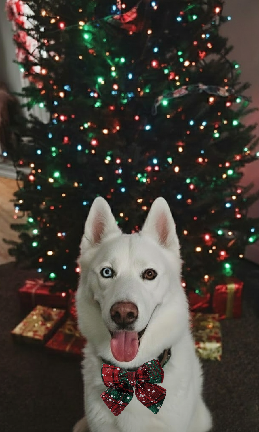 Mixed Plaid (Red & Green)